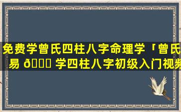 免费学曾氏四柱八字命理学「曾氏易 🐅 学四柱八字初级入门视频11」